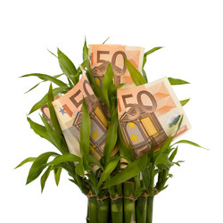 Similar image 2959483