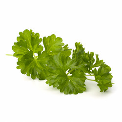 Similar image 2959494