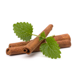 Similar image 2959501