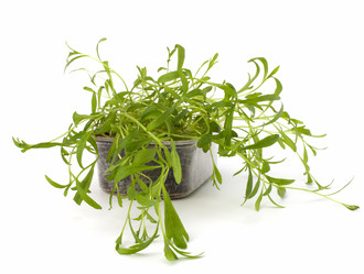 Similar image 2959507