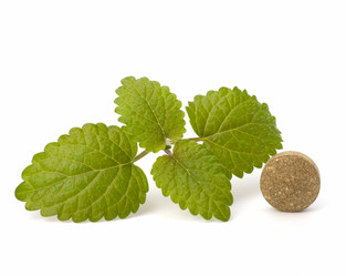 Similar image 2959529