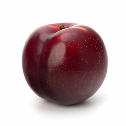 Similar image 2959539