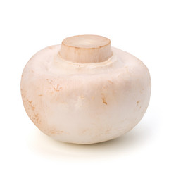 Similar image 2959541