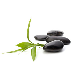 Similar image 2959558