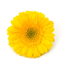 Similar image 2959564