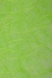 Similar image 2959567