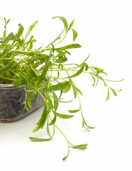 Similar image 2959578