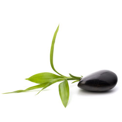 Similar image 2959579