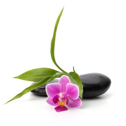 Similar image 2959590