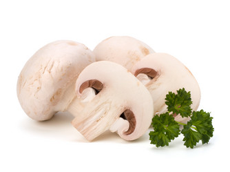 Similar image 2959613