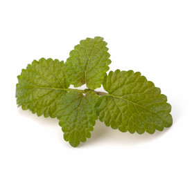 Similar image 2959627