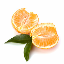 Similar image 2959647