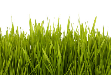 Similar image 2959653