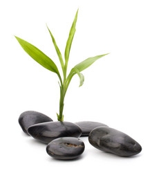 Similar image 2959657