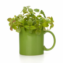 Similar image 2959659