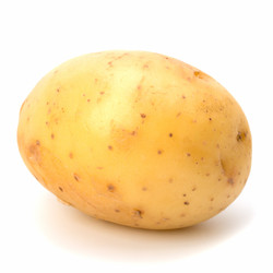 Similar image 2959662