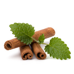 Similar image 2959676