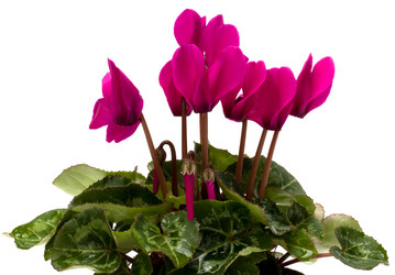 Similar image 2959723