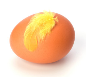 Similar image 2959742