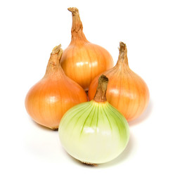 Similar image 2959755