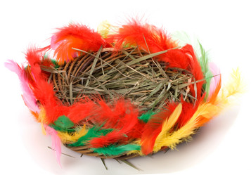 Similar image 2959787