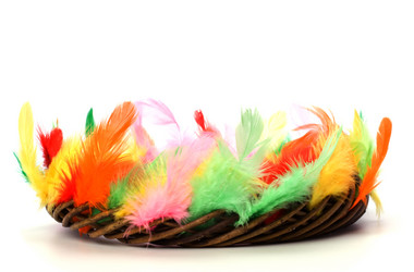 Similar image 2959791