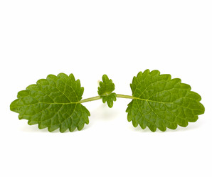 Similar image 2959836