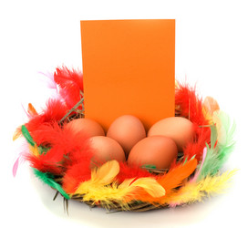 Similar image 2959848