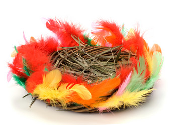 Similar image 2959850