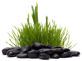 Similar image 2959888