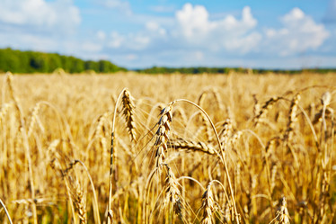 Similar image 2959967