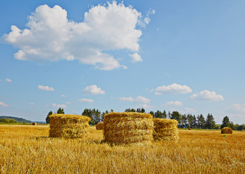 Similar image 2959968