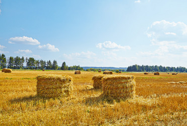 Similar image 2959969