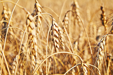 Similar image 2959970