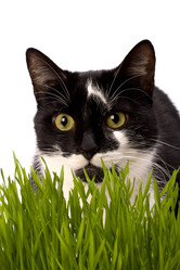 Similar image 2960055