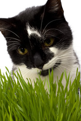 Similar image 2960060