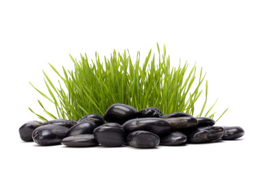 Similar image 2960082