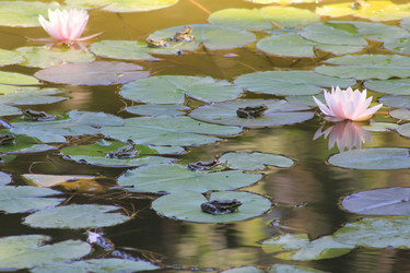 Similar image 2960138