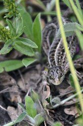 Similar image 2960149