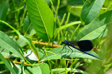 Similar image 2960152