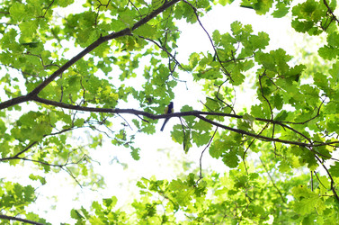 Similar image 2960153