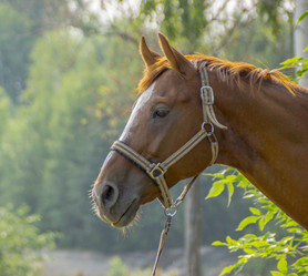 Similar image 2960157