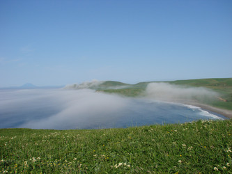 Similar image 2960160