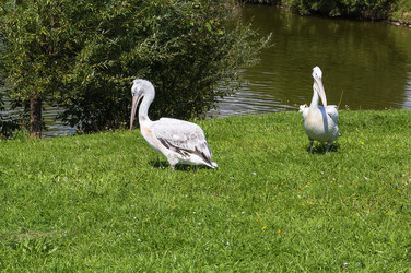 Similar image 2960203