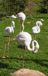 Similar image 2960204