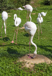 Similar image 2960205