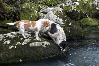 Similar image 2960211