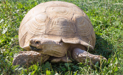 Similar image 2960234