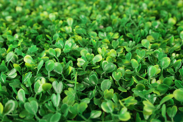 Similar image 2960265