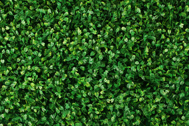 Similar image 2960266